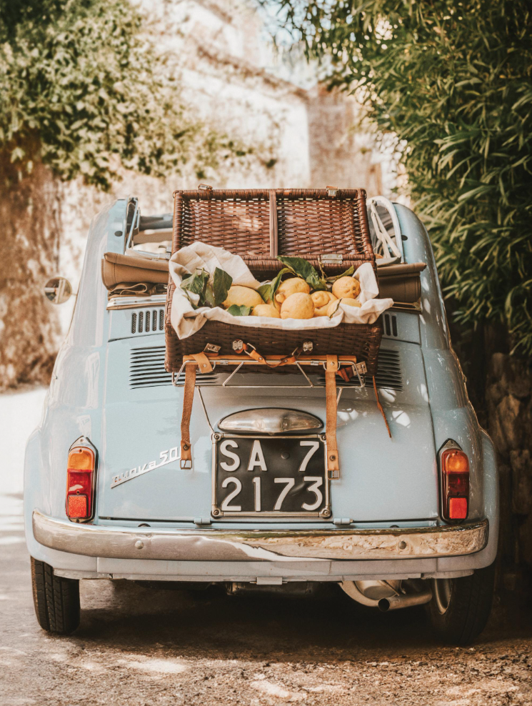 Citrus Cruise Poster